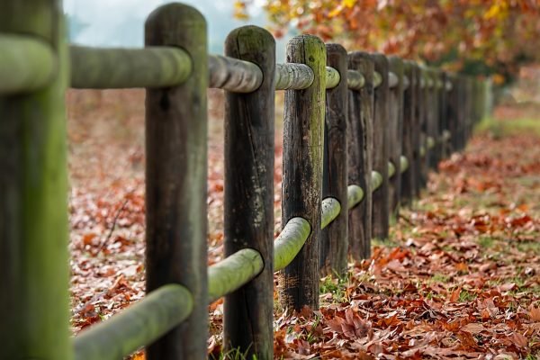 fence-posts-2331414_1280